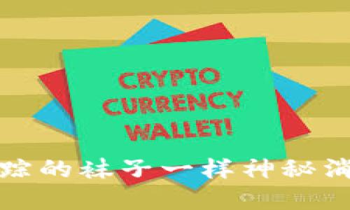 当你的MetaMask钱包像失踪的袜子一样神秘消失时，该如何解救你的资产？