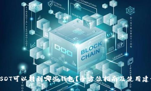 USDT可以转到哪些钱包？全方位指南及使用建议