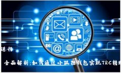 ，进行: 全面解析：如何通过小狐狸钱包实现TR