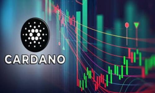 

比特币硬件钱包使用指南：安全存储与管理你的数字资产