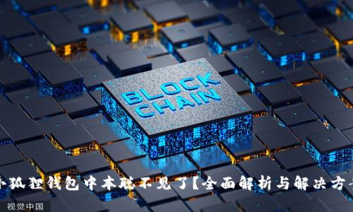 小狐狸钱包中本聪不见了？全面解析与解决方案