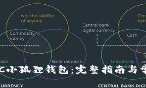 如何设置BSC小狐狸钱包：完整指南与常见问题解析