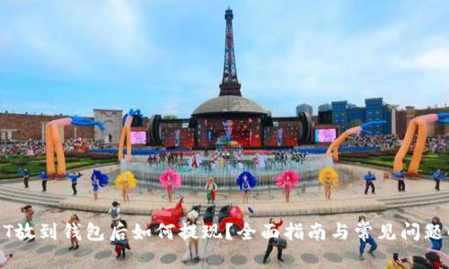 USDT放到钱包后如何提现？全面指南与常见问题解答