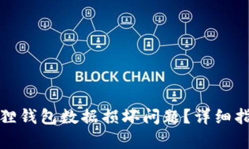 如何修复小狐狸钱包数据损坏问题？详细指南与解决方案