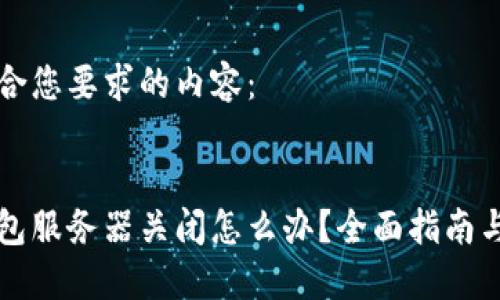 以下是符合您要求的内容：


比特币钱包服务器关闭怎么办？全面指南与解决方案