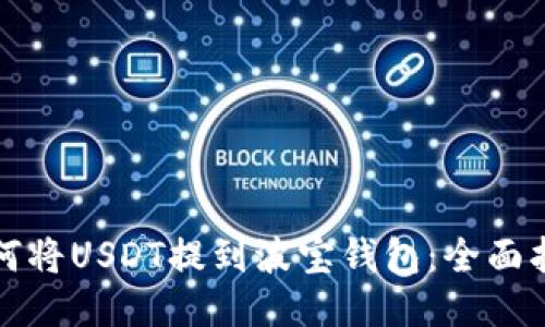 如何将USDT提到波宝钱包：全面指南