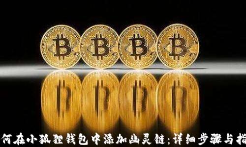 
如何在小狐狸钱包中添加幽灵链：详细步骤与指南