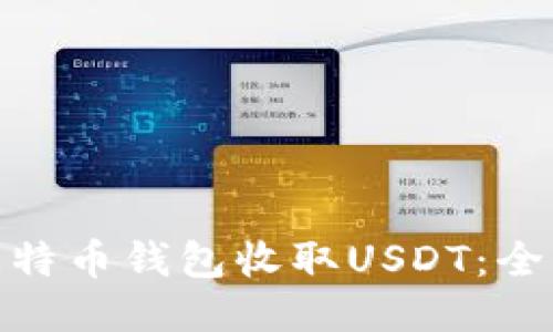 : 如何使用比特币钱包收取USDT：全面指南与技巧