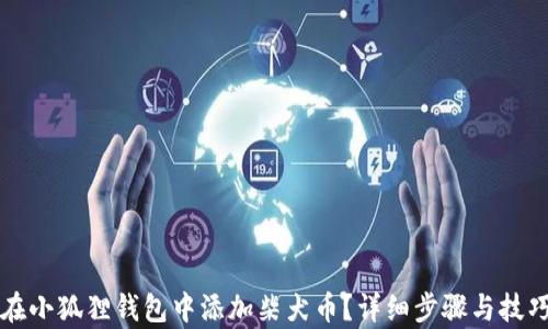 
如何在小狐狸钱包中添加柴犬币？详细步骤与技巧解析