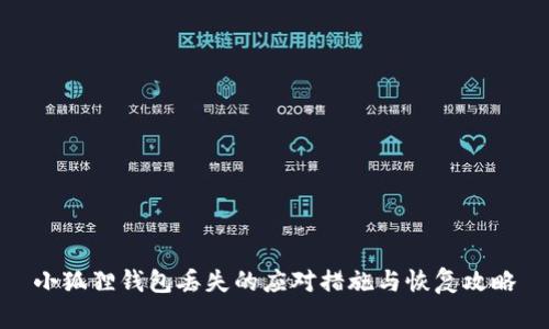 小狐狸钱包丢失的应对措施与恢复攻略