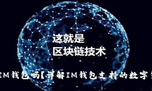 USDT可以放在IM钱包吗？详解IM钱包支持的数字货币及使用指南