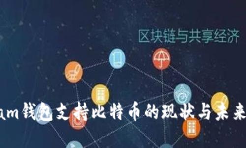 Steam钱包支持比特币的现状与未来展望