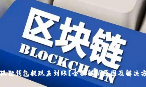 小狐狸钱包提现未到账？全面解析原因及解决方法
