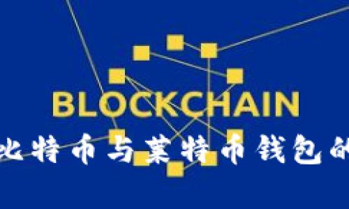 : 如何安全存储比特币与莱特币钱包的选择与使用指南