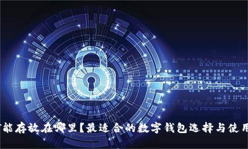 USDT能存放在哪里？最适合的数字钱包选择与使用指南