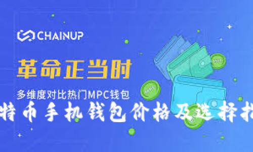 比特币手机钱包价格及选择指南