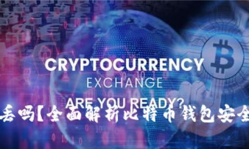 比特币钱包会丢吗？全面解析比特币钱包安全性与管理技巧