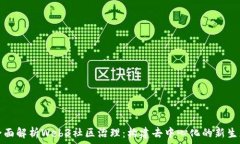   全面解析Web3社区治理：构建去中心化的新生态